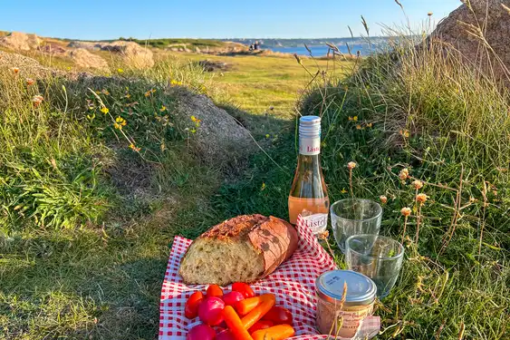 Ein Picknick in den Dünen am Meer