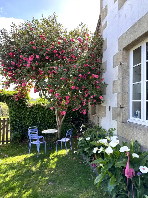bretagne-unterkunft-garten