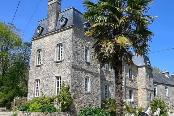 Eine Palme im Garten eines Schlosses in der Normandie