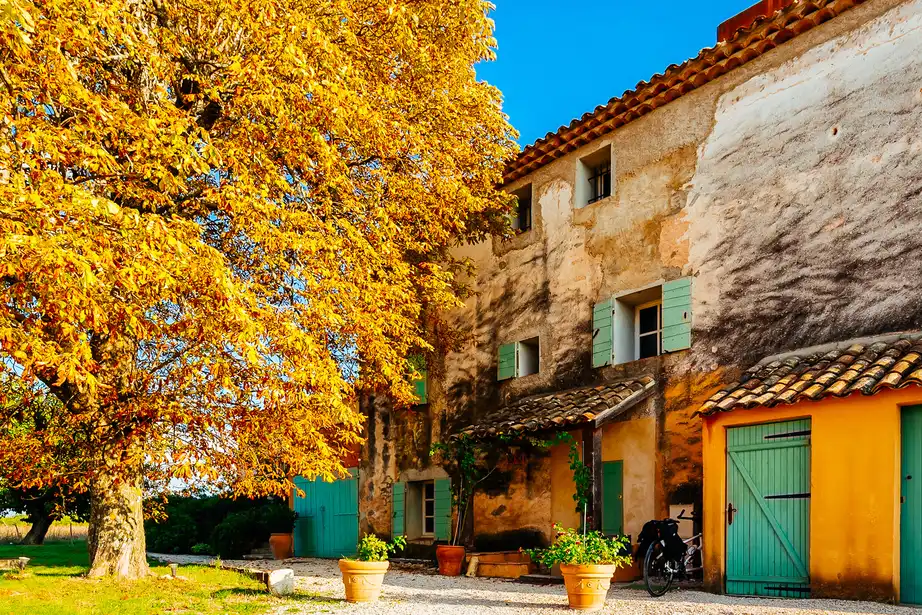 provence-architektur-baum