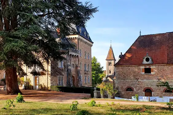Das Anwesen des Schlosses im Burgund mit einer riesigen Tanne und einem großen Garten