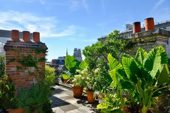 Hoteltipp-Orleans-Dachterasse