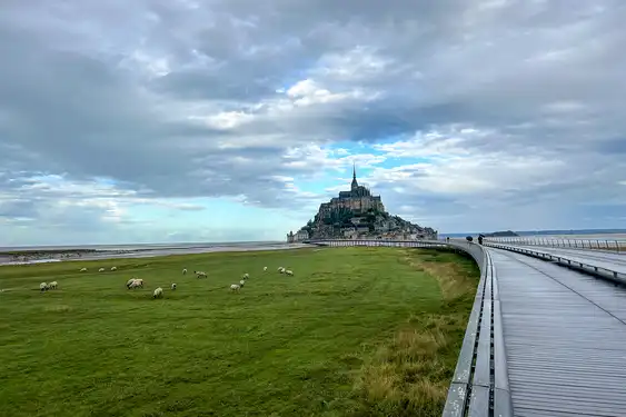 Die Brücke die zu Mont-Saint-Michel führt über eine Wiese auf der Schafe grasen