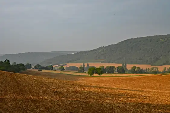 Ein Feld im Burgund unter bewölkten Himmel