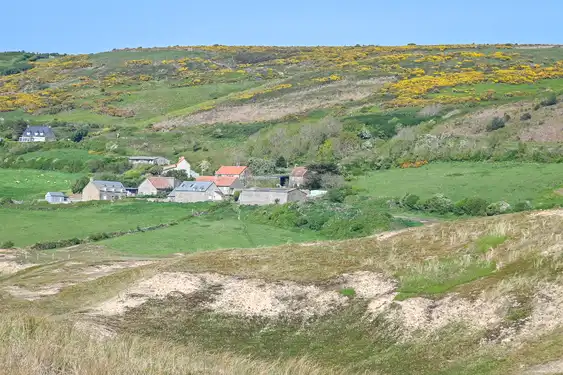 Eine Dünenlandschaft mit Häusern