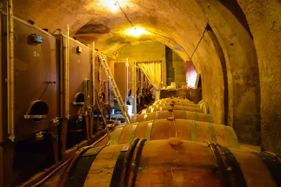 Weinfässer in einem Gewölbekeller im Burgund