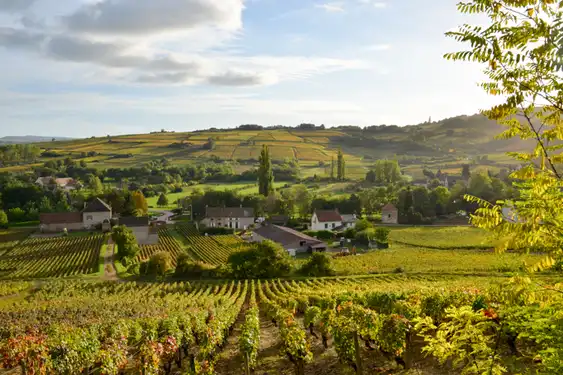 Hoteltipp-Burgund-Landschaft