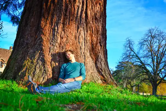 Thomas döst friedlich an einen Baum angelehnt im Burgund
