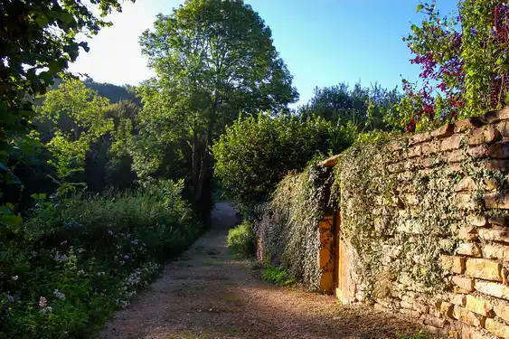 Ein Weg entlang einer Steinmauer im Burgund
