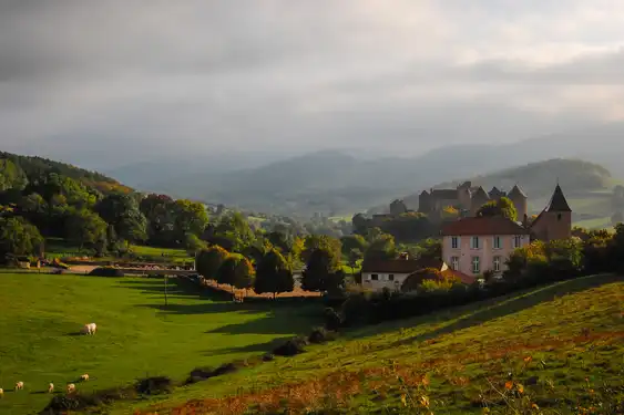 Ein Feld mit Schafen zwischen kleinen Wäldern im Burgund