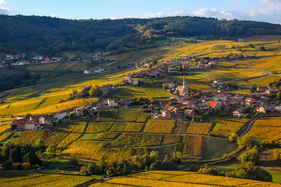 Ausblick auf ein Dorf zwischen Weinreben im Burgund