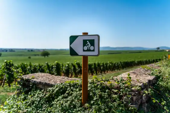 Ein Fahrradwegschild bei den Weinreben im Burgund