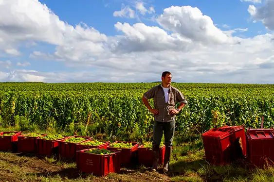 Hoteltipp-Champagne-Carussel-Feld-Mensch