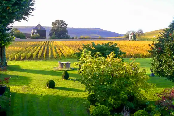 burgund-hoteltipp-garten