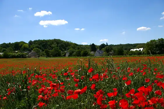 loire-rundreise-landschaft-IMGP0271