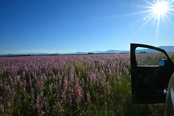 provence-autoreise-landschaft