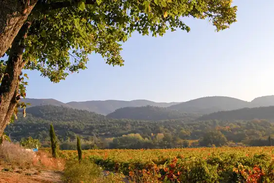 provence-landschaft-herbst