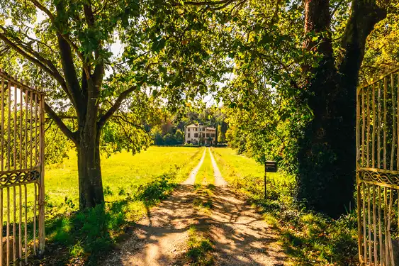provence-landschaft-tor-einfahrt