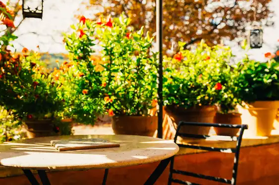 provence-sonstiges-tisch