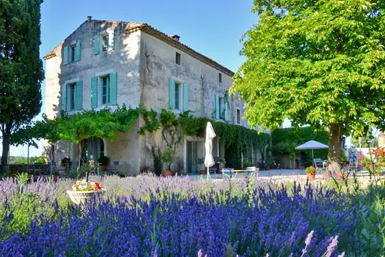 provence-landschaft