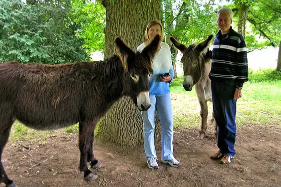 frankreich-urlaub-abenteuer