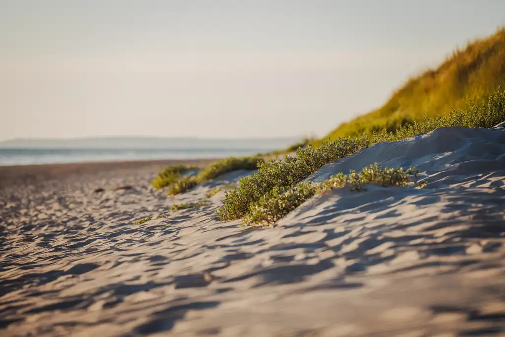 Eine Düne am Strand in der Normandie