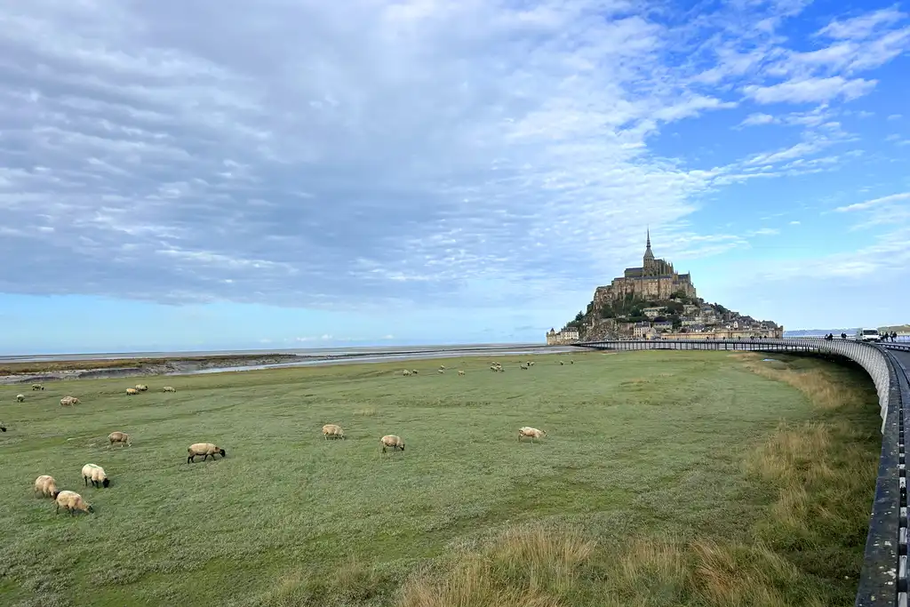 Große Weide mit schafen und Mont-Saint-Michel im Hintergrund