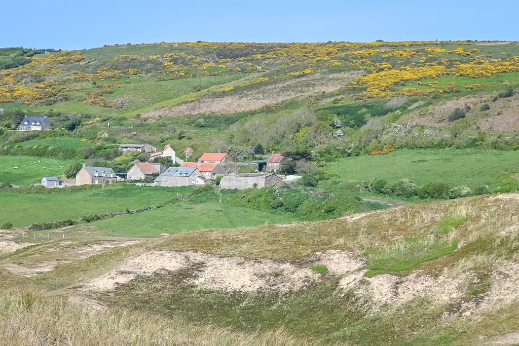 Eine Dünenlandschaft mit Häusern