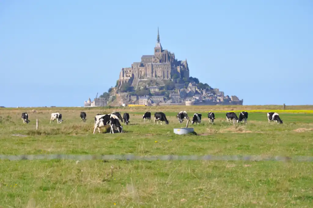 bretagne-architektur-saintmichel