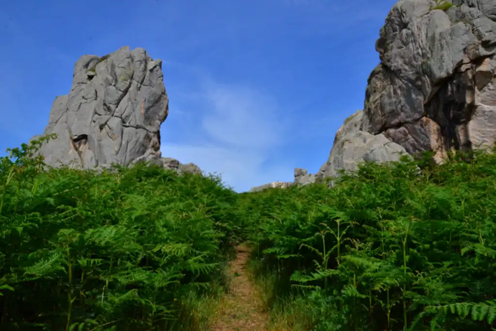 bretagne-landschaft