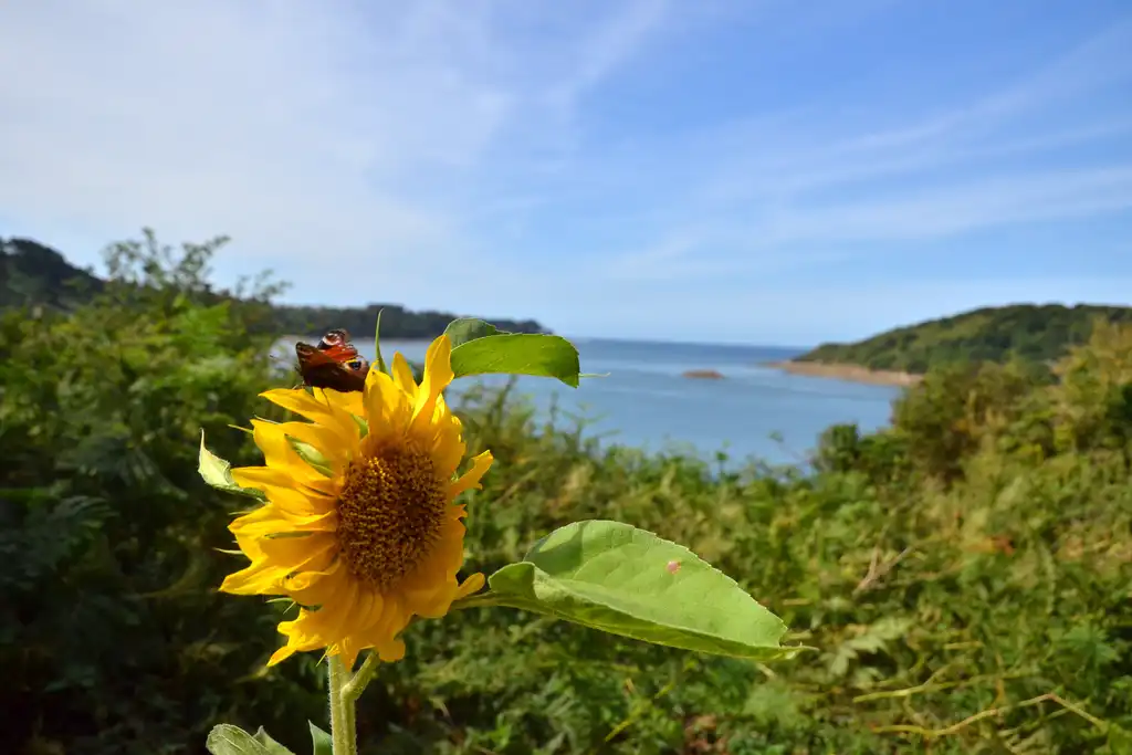 bretagne-landschaft-kueste