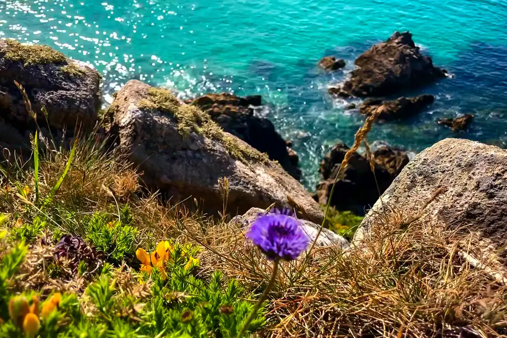 bretagne-landschaft-meer