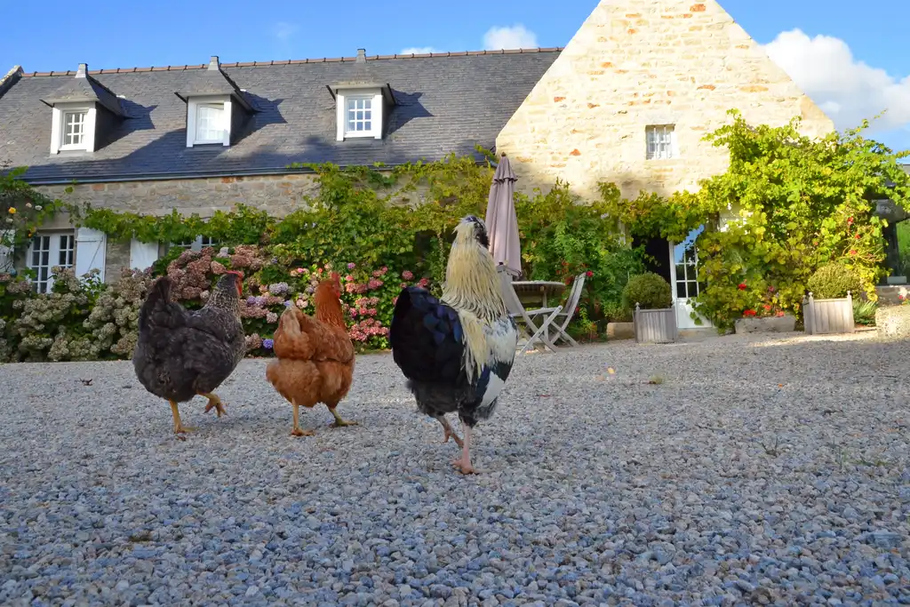 bretagne-unterkunft-finistere