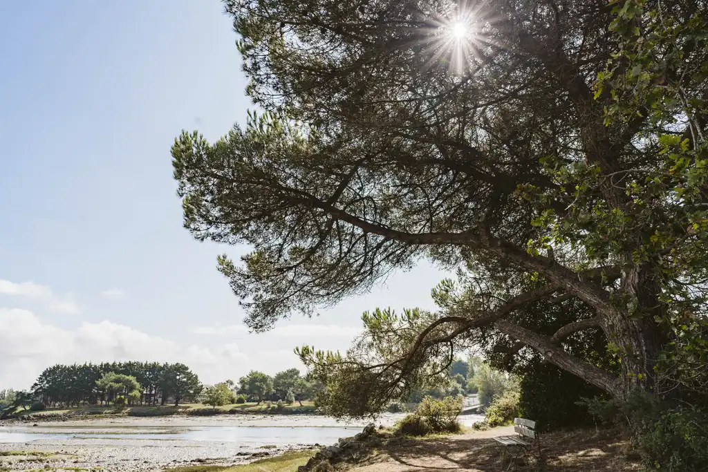 bretagne-wanderung-riadetel