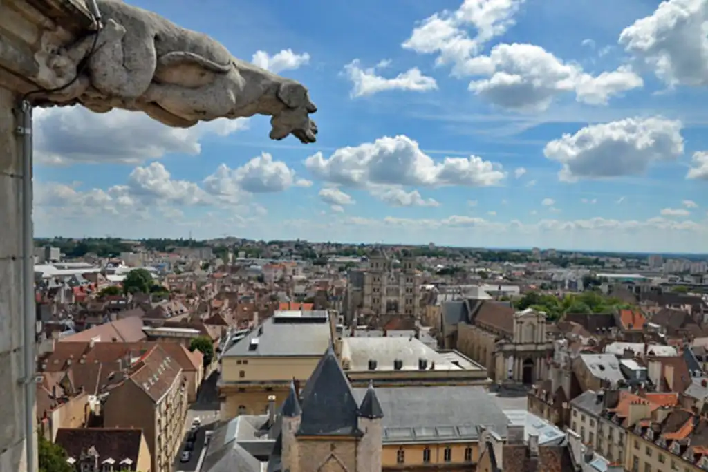 Die Aussicht über Dijon von einer Kirche mit einem Gargoyle