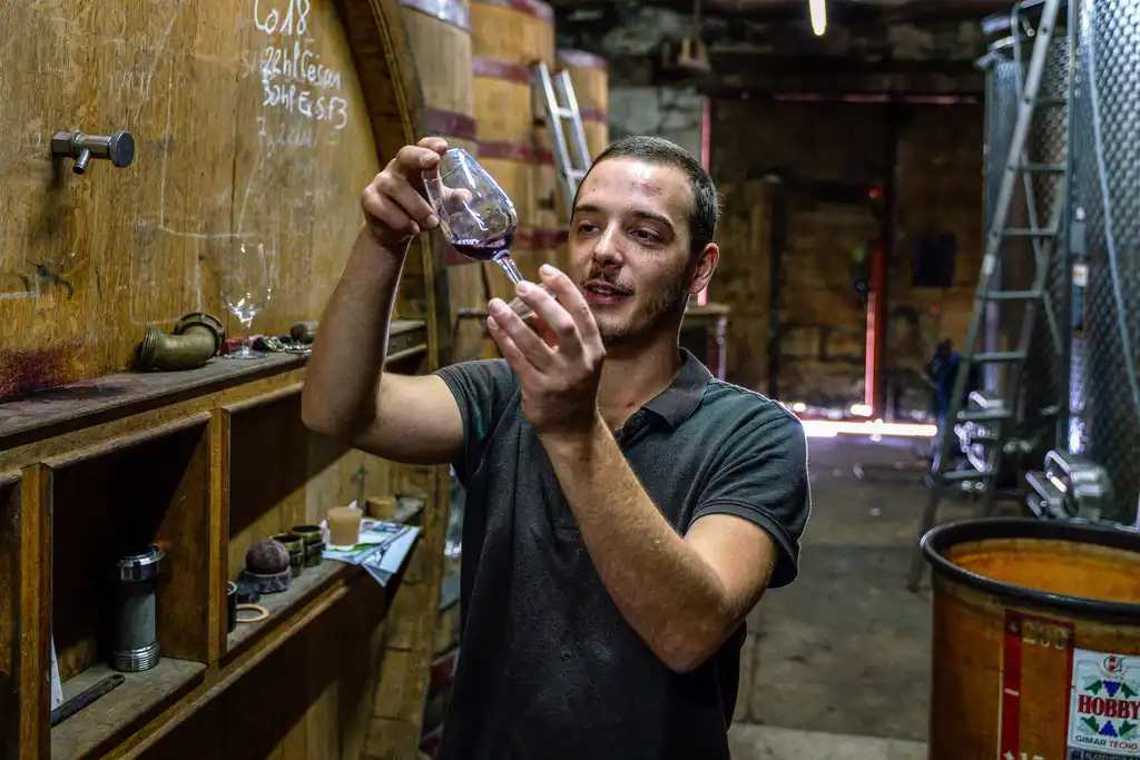 Ein Winzer im Burgund der seinen Wein im Weinglas begutachtet