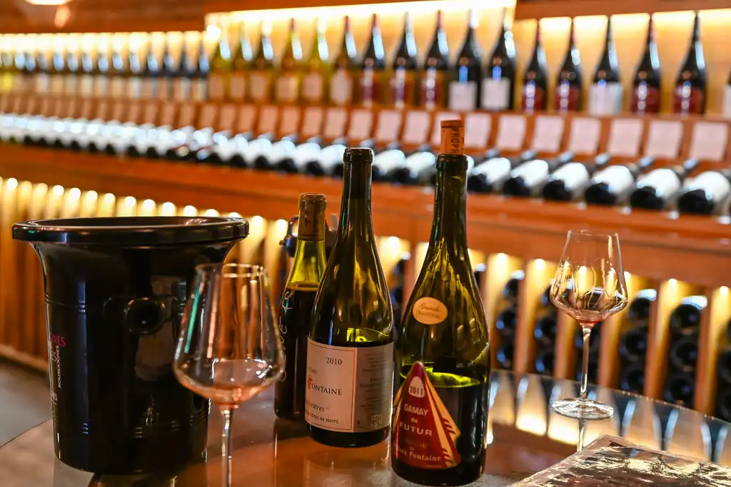 Eine Weinprobe mit verschiedensten Weinsorten in einem Weingut im Burgund