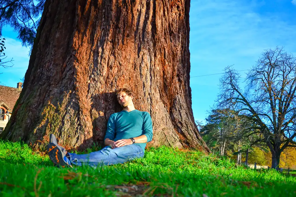Thomas döst friedlich an einen Baum angelehnt im Burgund