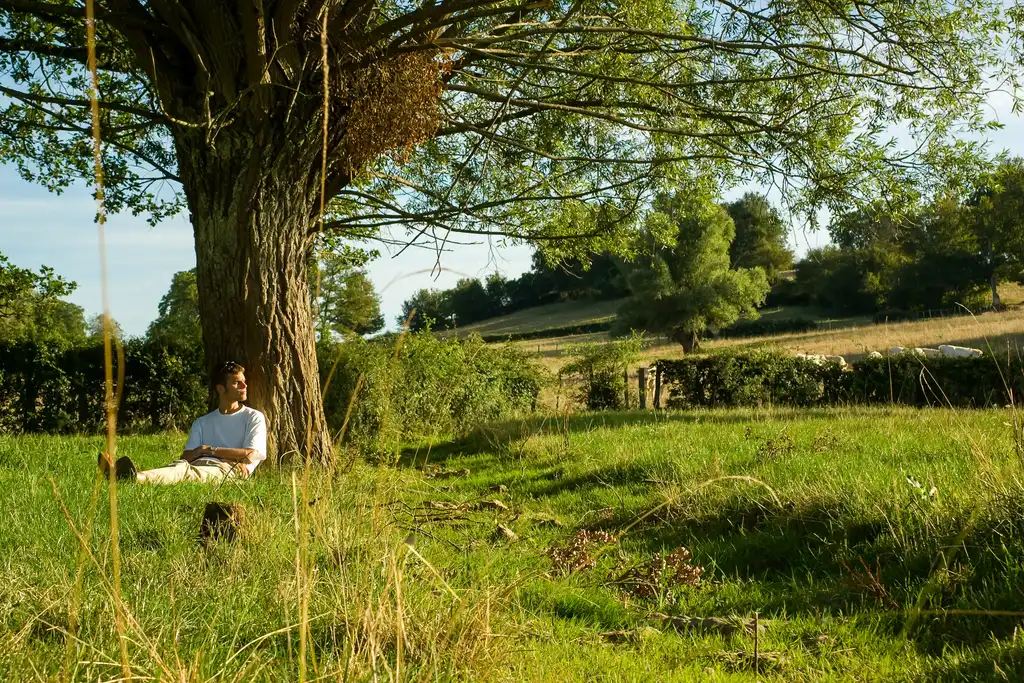 Thomas sitzt auf einer Wiese an einem Baum angelehnt im Burgund