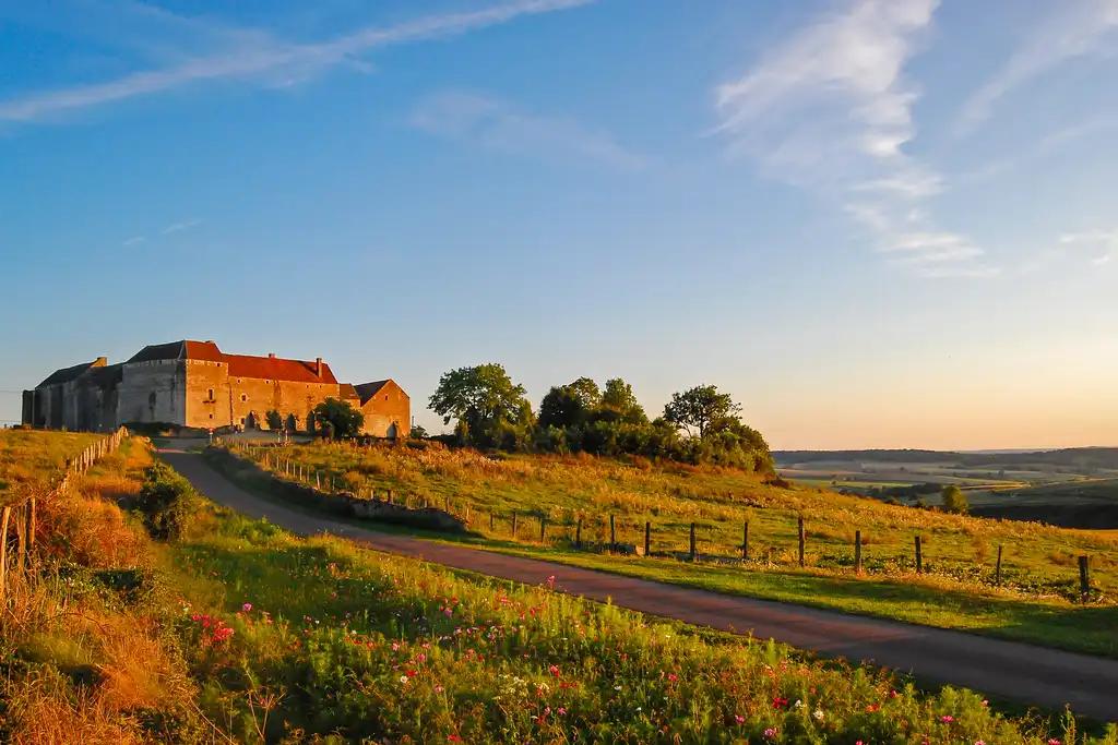 Ein kleiner Weg der zu einem Haus zwischen Feldern im Burgund führt