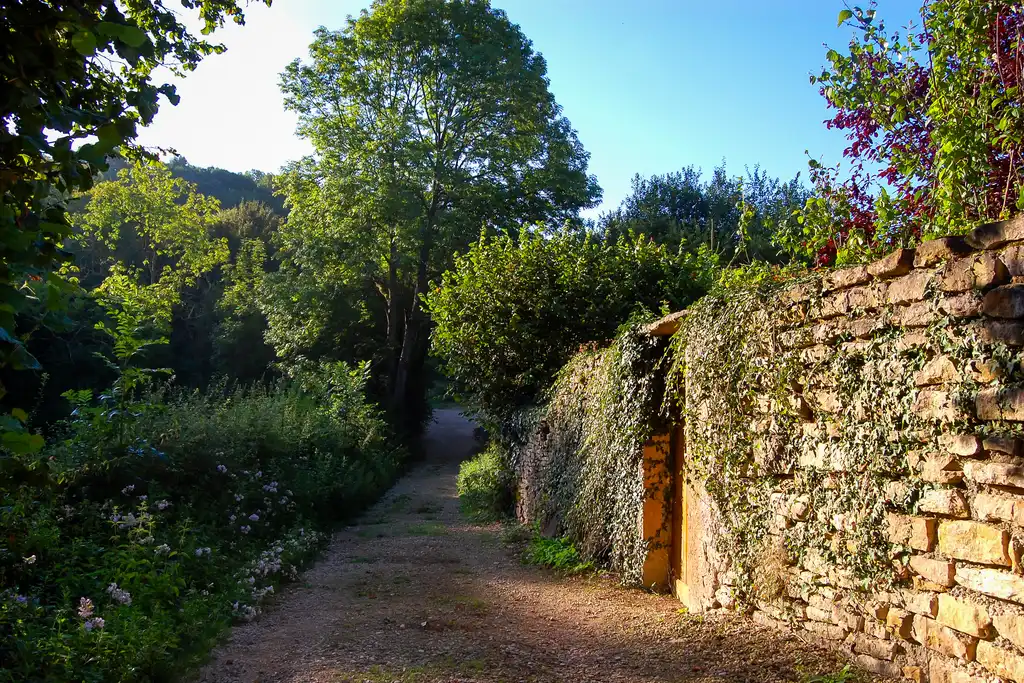 Ein Weg entlang einer Steinmauer im Burgund