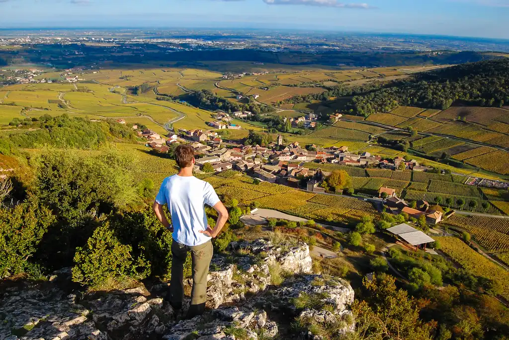 Thomas steht auf einem Berg mit Ausblick über die Weinreben in der Umgebung