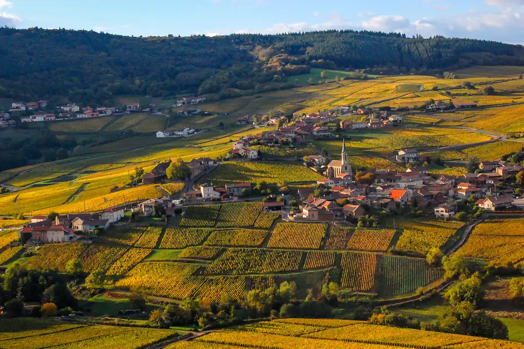 Ausblick auf ein Dorf zwischen Weinreben im Burgund