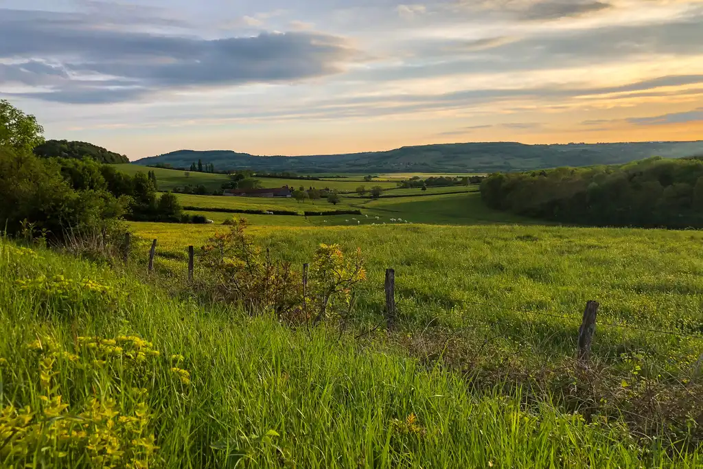 burgund-landschaft-wiese