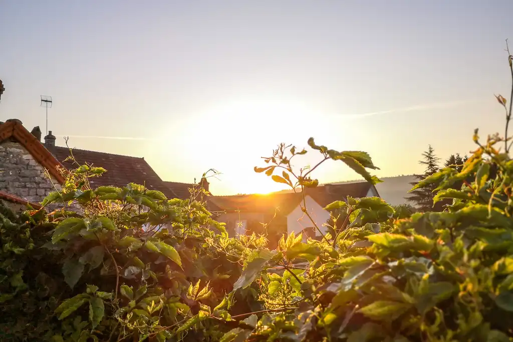 Sonnenuntergang im Burgund