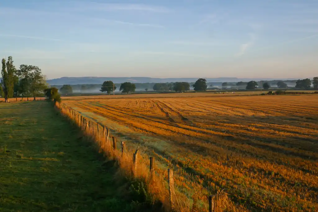 Feld im Burgund das von der untergehenden Abendsonne beleuchtet wird