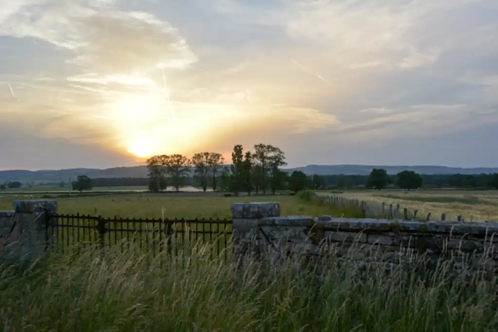 Ein abgezäuntes Feld im Burgund mit der untergehenden Abendsonne im Hintergrund
