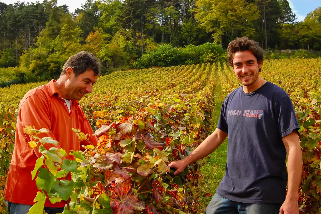 Winzer stehen zwischen ihren Weinreben im Burgund