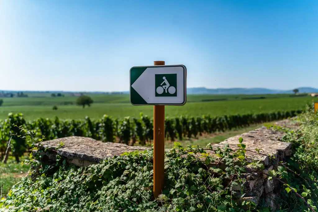 Ein Fahrradwegschild bei den Weinreben im Burgund