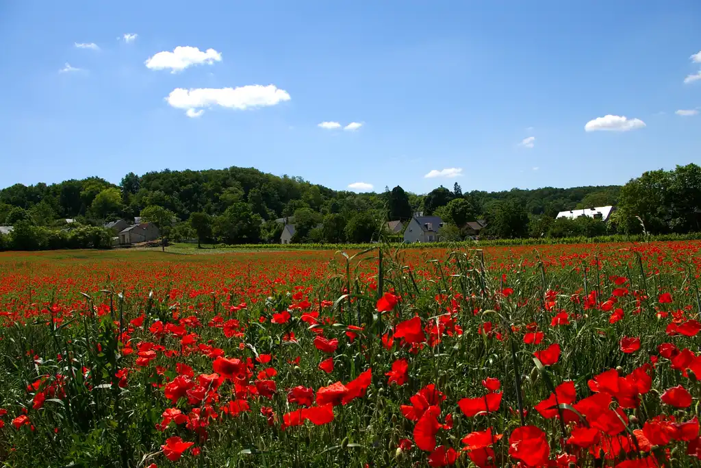 loire-rundreise-landschaft-IMGP0271